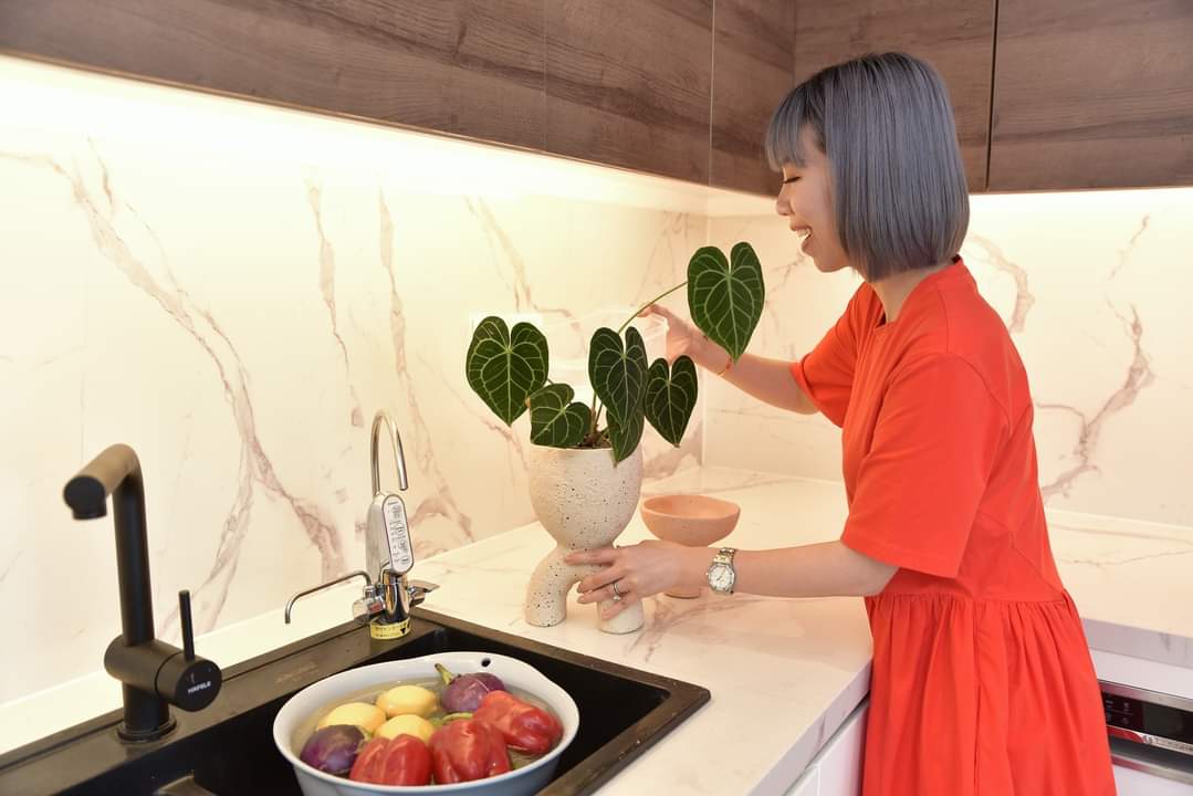 Mitsubishi Cleansui Eu301